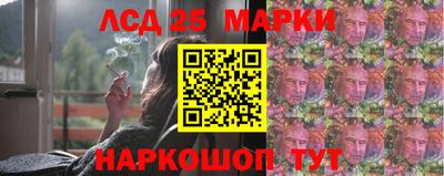 амф Кандалакша